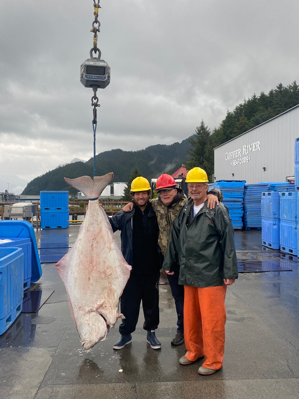 Wild Alaskan Halibut Portions
